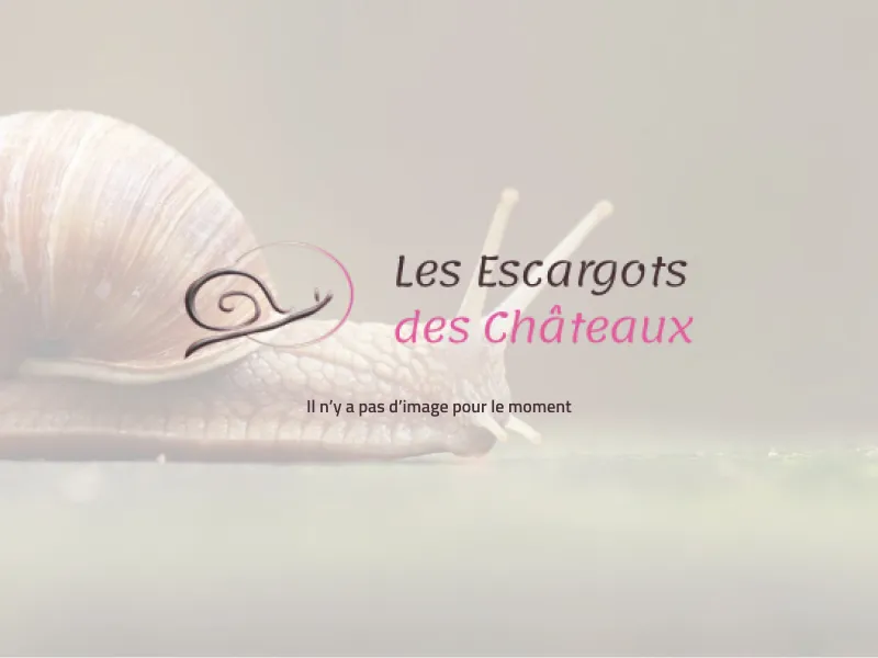 Programme marchés de Noël 2025