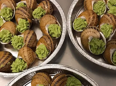 escargots artisanaux à Villexanton près de Blois dans le Loir-et-Cher 41