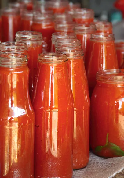 jus de tomates à Villexanton près de Blois dans le Loir-et-Cher 41