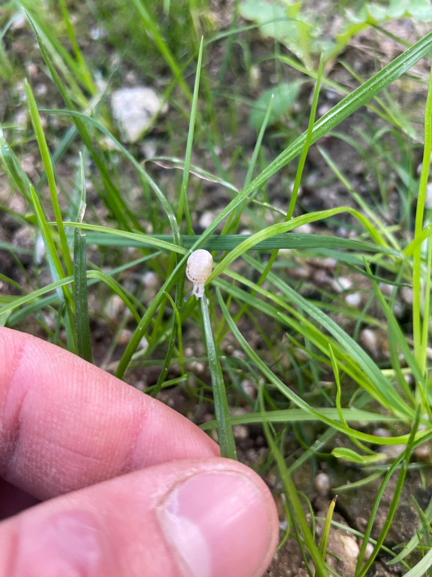 La saison est lanc&eacute;e !