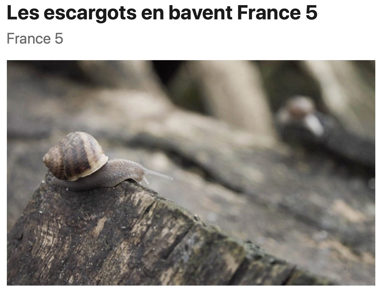 Pour en savoir plus sur les escargots